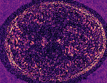 Example 1: absolute difference between selfdb baseline and the reference. Darker colors indicate less error.